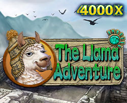 The Llama Adventure